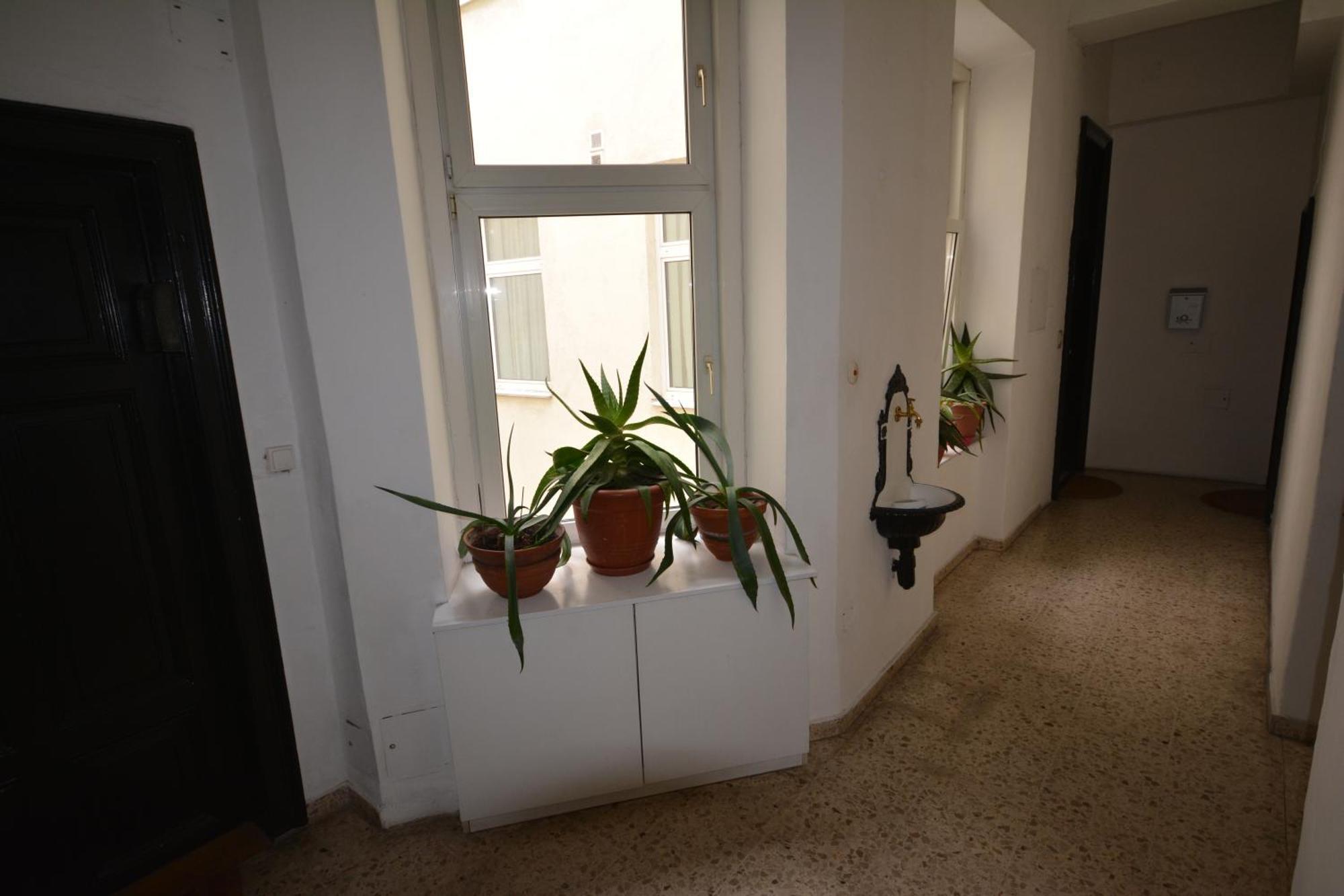 Vienna Holiday Apartments Bagian luar foto